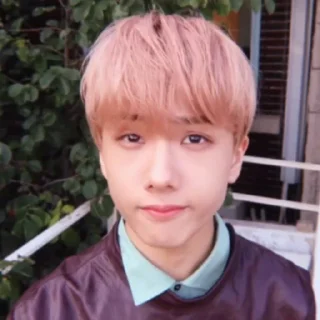 Sticker from jisung nct @APLAEPEIDI