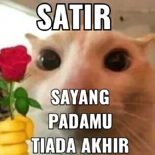 🫦 emoji nyolong di pin 😱 Telegram sticker 23 of 31