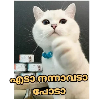 😂 emoji @PSYBEASTKGF Vol.5 Telegram sticker 17 of 120