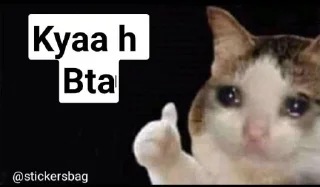 🥲 emoji Cat memes🌟💖 @itsmelegend Telegram sticker 19 of 95