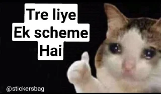 🥲 emoji Cat memes🌟💖 @itsmelegend Telegram sticker 18 of 95