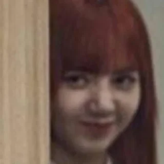 Sticker from lisa meme @mentahanRoleplay