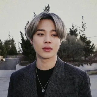 🐺 emoji Park jimin Telegram sticker 7 of 14