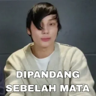👨‍🎤 emoji kemungkinan joel Telegram sticker 11 of 79
