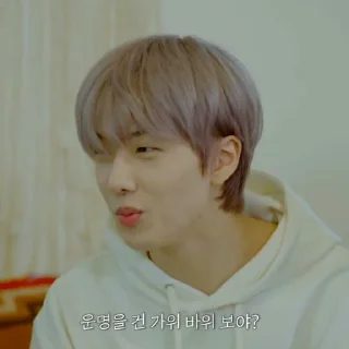 🐹 emoji PARK JISUNG V2 ⋆ @ARTHEAS Telegram sticker 15 of 120