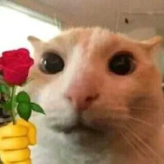 🌹 emoji I be in situation (@Verbathim) Telegram sticker 12 of 45