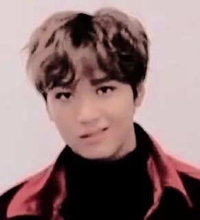 🍄 emoji donghyuck mood - @simpingonyuta Telegram sticker 20 of 31