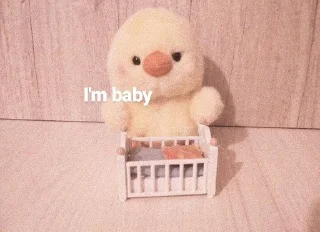 Sticker from ⌗ αꪀαk αꪀαkꪀα fαdꫀl pt 2 — @THECUTIESJEON