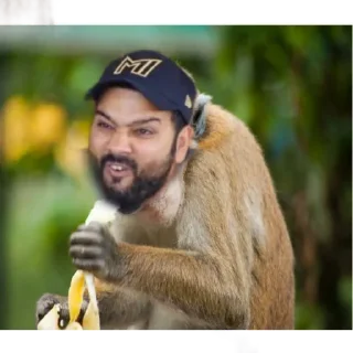 🐒 emoji 🤣 @cricketyard Telegram sticker 16 of 50