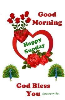 🌹 emoji 🌴🌴🌴🌴🌴 Telegram sticker 17 of 84