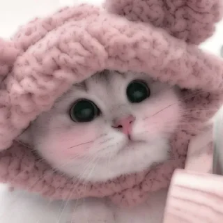 🐈 emoji . soft cat by @stickernct Telegram sticker 16 of 50