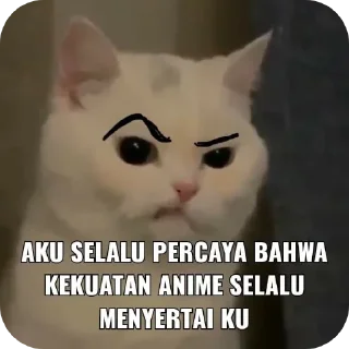🐱 emoji Meme Telegram sticker 8 of 58
