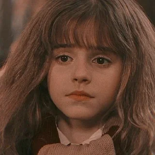 😕 emoji Hermione @VayzinGranger Telegram sticker 17 of 32