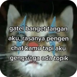 🖼 emoji hts kok gamon Telegram sticker 6 of 18