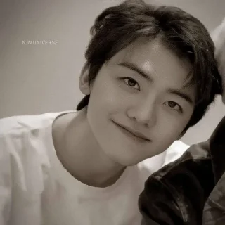 🐴 emoji NCJAEMIN @leviosastory Telegram sticker 21 of 38