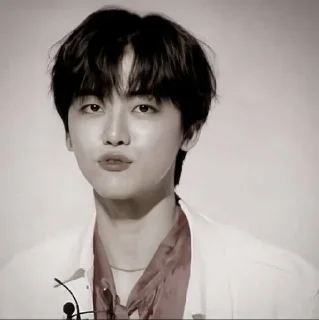 🐴 emoji NCJAEMIN @leviosastory Telegram sticker 4 of 38