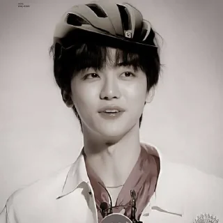 🐴 emoji NCJAEMIN @leviosastory Telegram sticker 5 of 38