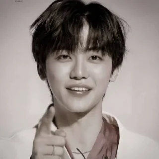 🐴 emoji NCJAEMIN @leviosastory Telegram sticker 7 of 38