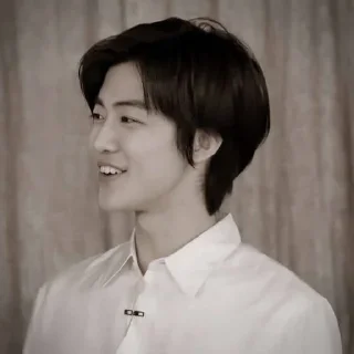 🐴 emoji NCJAEMIN @leviosastory Telegram sticker 18 of 38