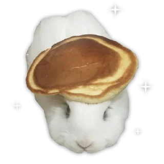 😜 emoji PancakeSwap Telegram sticker 11 of 43
