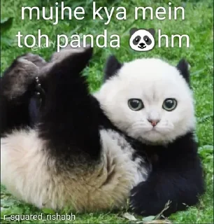 🐼 emoji Mujhe Kya Main Toh @Aesthet3c Telegram sticker 20 of 21