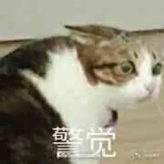 ⚠️ emoji 西瓜的表情包 Telegram sticker 20 of 34