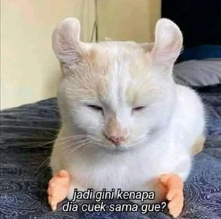 🐈 emoji UcinggGmoyy Telegram sticker 21 of 31