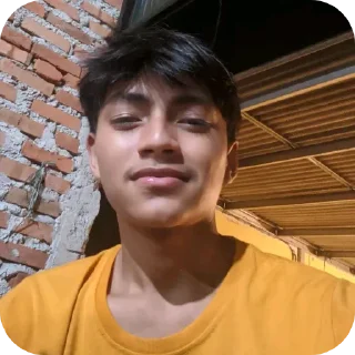 🙂 emoji jepri nikol Telegram sticker 6 of 13