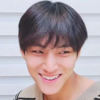 🏴‍☠️ emoji razzan as mingyu, @THE666s Telegram sticker 20 of 60