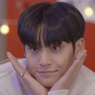 🏴‍☠️ emoji razzan as mingyu, @THE666s Telegram sticker 14 of 60