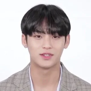 🏴‍☠️ emoji razzan as mingyu, @THE666s Telegram sticker 11 of 60
