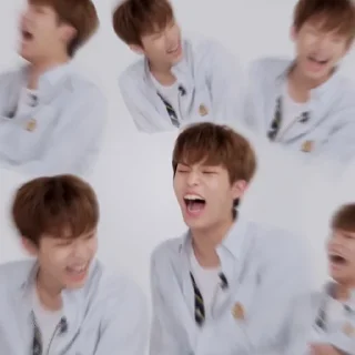 🐺 emoji jeongwoo mood’s Telegram sticker 14 of 27