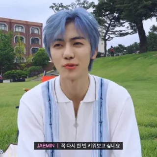 🥣 emoji 𖥻 jaemin : @songvyuqic ⭑ Telegram sticker 9 of 40