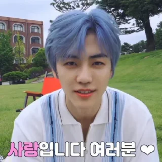 🥣 emoji 𖥻 jaemin : @songvyuqic ⭑ Telegram sticker 12 of 40