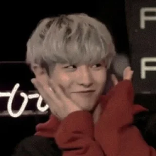 💿 emoji Chanyeol Park @editorsagaz Telegram sticker 13 of 30