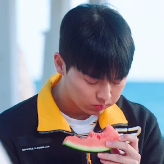 🥲 emoji Twenty Five Twenty One ❤️ @koreanstickerpacks Telegram sticker 20 of 50