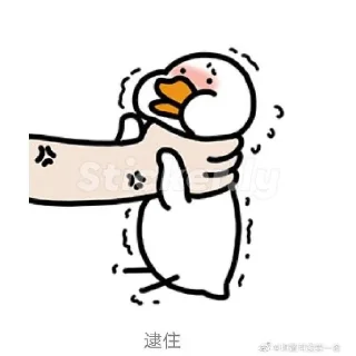 Sticker from Angsa 🦢