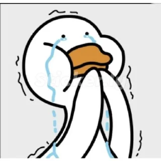 😭 emoji Angsa 🦢 Telegram sticker 12 of 28