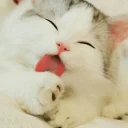 ❤️ emoji bubu Telegram sticker 5 of 25