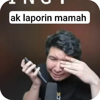 ✋ emoji nikol bocil windah Telegram sticker 7 of 9
