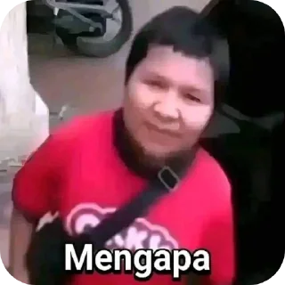 😎 emoji nikol bocil windah Telegram sticker 5 of 9