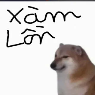 😉 emoji BỐ TONY DZ NHẤT TRÁI ĐẤT Telegram sticker 5 of 106