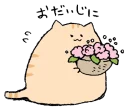 😺 emoji にわねこ  @SeanChannel Telegram sticker 19 of 40