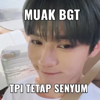 🚮 emoji Lino hhe Telegram sticker 20 of 30