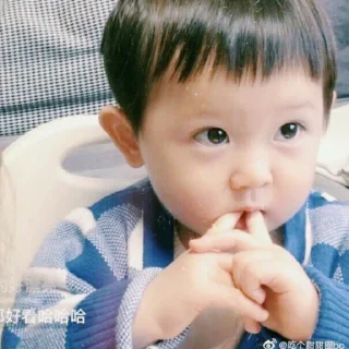 🦄 emoji # , baby yuan @paketpuan Telegram sticker 24 of 50