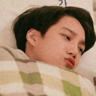 🍇 emoji Kai exo Telegram sticker 6 of 21