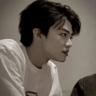 🐴 emoji NCJAEMIN @leviosastory Telegram sticker 20 of 38