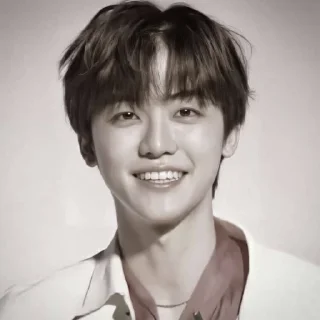 🐴 emoji NCJAEMIN @leviosastory Telegram sticker 11 of 38
