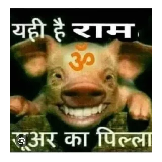 😡 emoji Lindus randi ki olad Telegram sticker 7 of 8