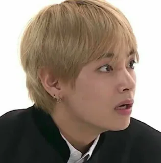 😘 emoji Taehyung meme @VANTEKING'S Telegram sticker 13 of 41